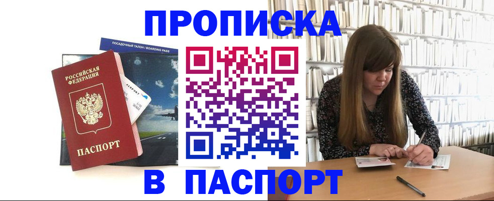 прописка поиск в Кингисеппе